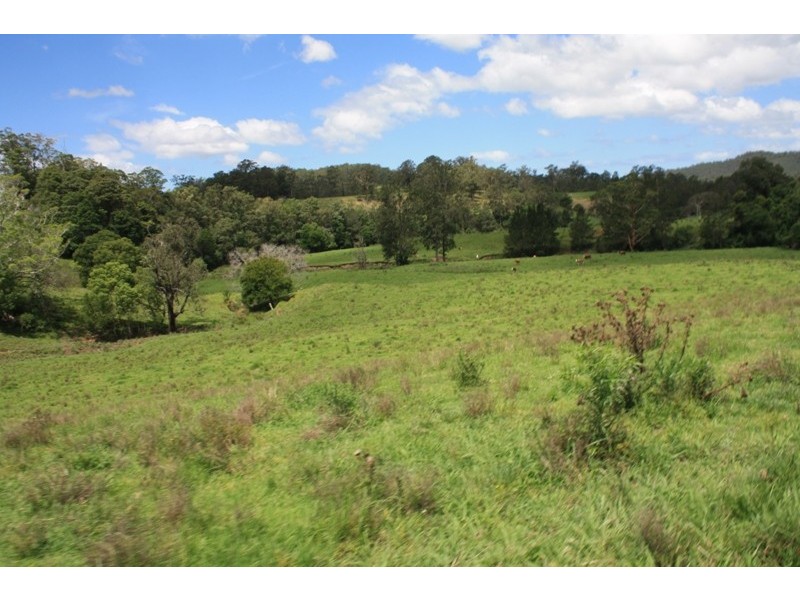 Argents Hill NSW 2449