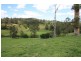 Argents Hill NSW 2449