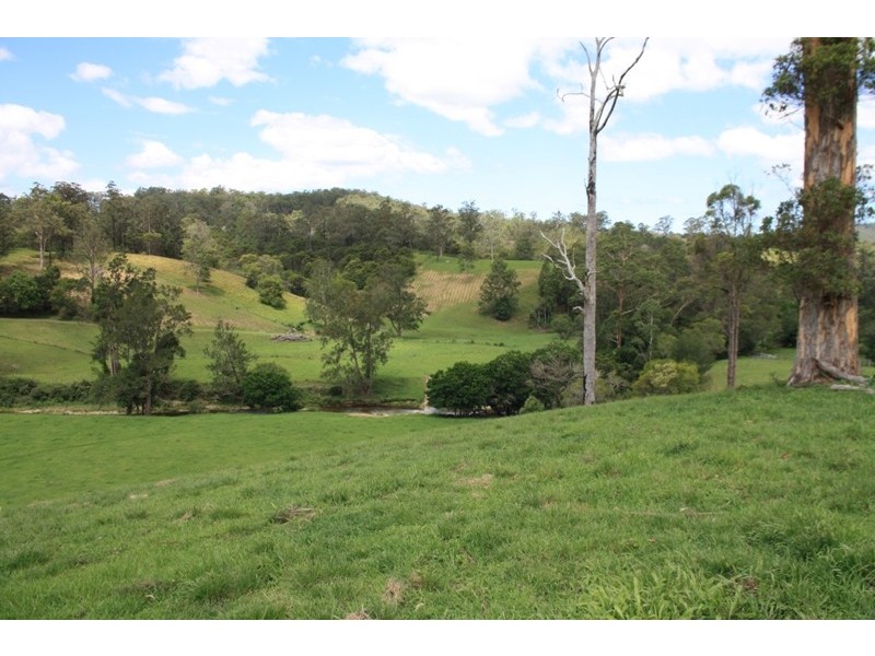 Argents Hill NSW 2449