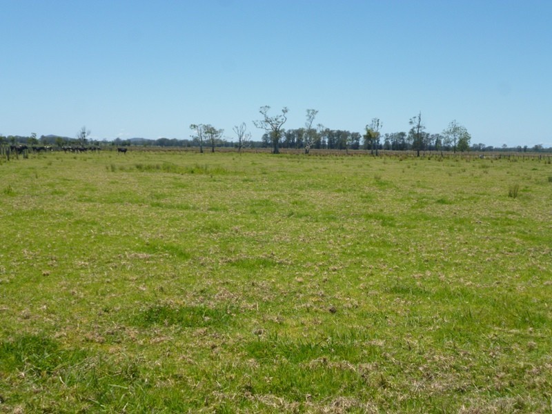 590 South West Rocks Road, Austral Eden NSW 2440