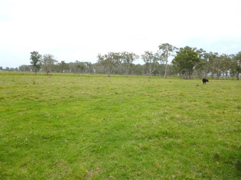 Gladstone NSW 2440