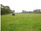 Gladstone NSW 2440