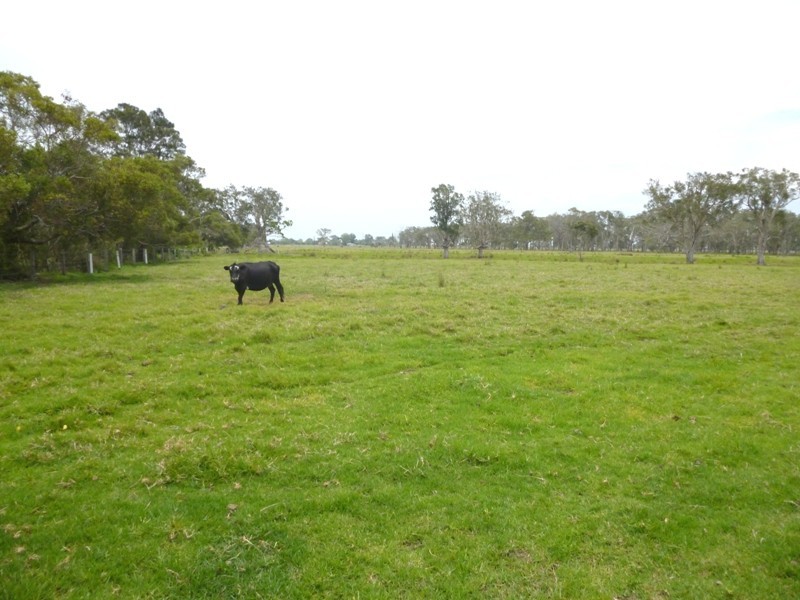 Gladstone NSW 2440