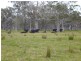 Gladstone NSW 2440
