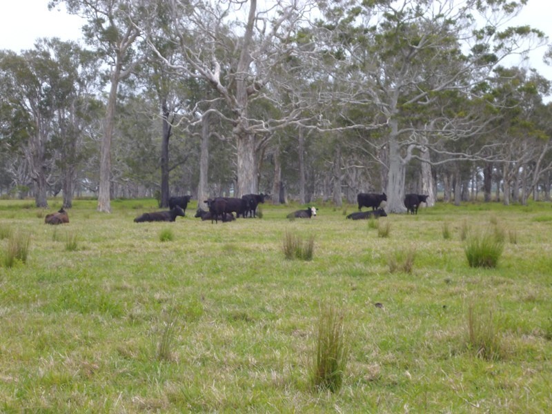 Gladstone NSW 2440