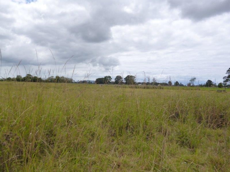 Seven Oaks NSW 2440