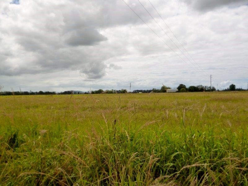Seven Oaks NSW 2440