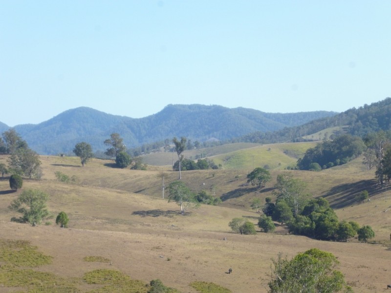 Hickeys Creek NSW 2440