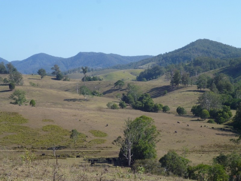 Hickeys Creek NSW 2440