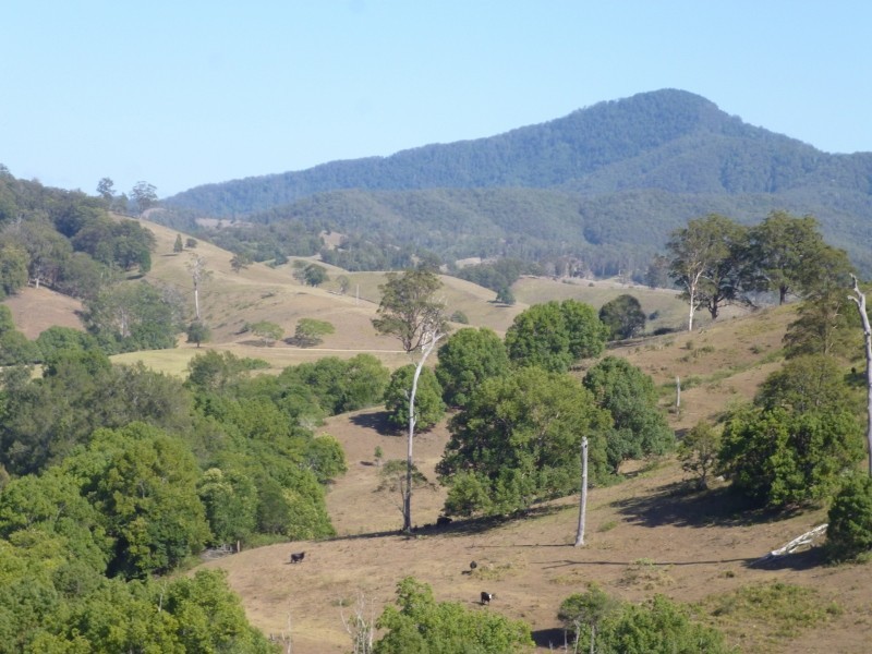 Hickeys Creek NSW 2440