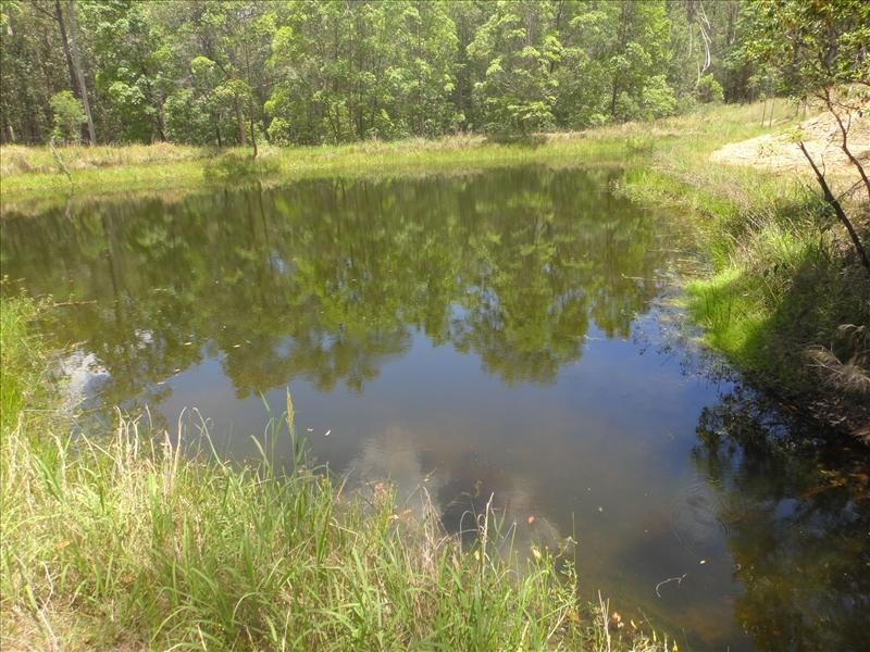 Temagog NSW 2440