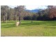 Temagog NSW 2440