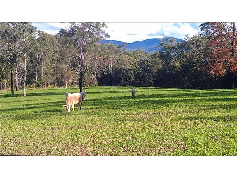 Temagog NSW 2440