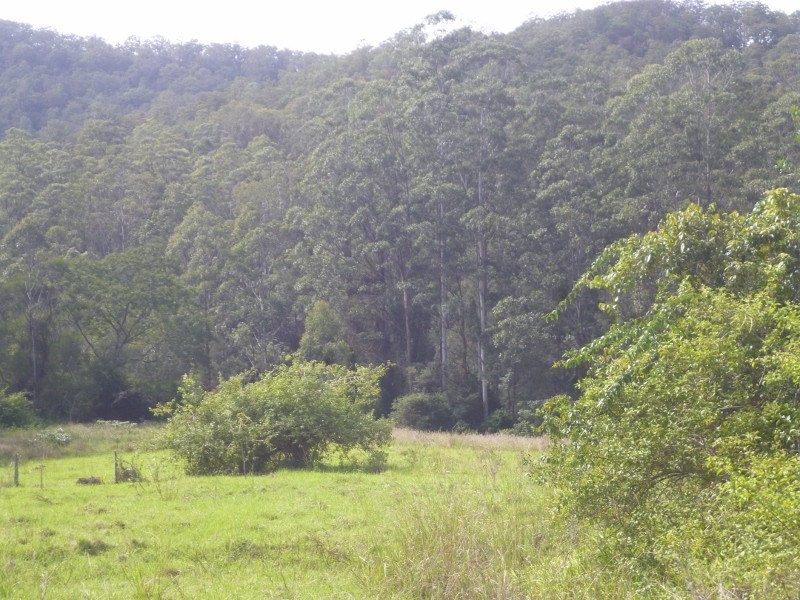 Lots 1-3 Nulla Nulla Creek Road, Bellbrook NSW 2440