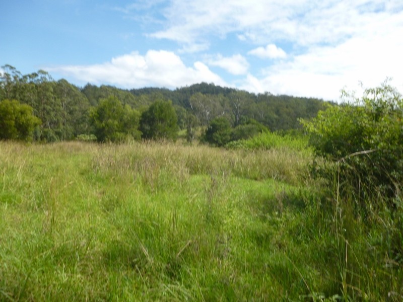 Lots 1-3 Nulla Nulla Creek Road, Bellbrook NSW 2440