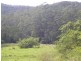 Lot 4 Nulla Nulla Creek Road, Bellbrook NSW 2440