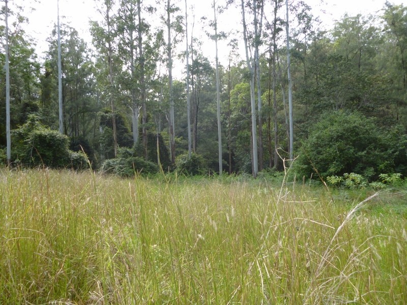 Lot 4 Nulla Nulla Creek Road, Bellbrook NSW 2440