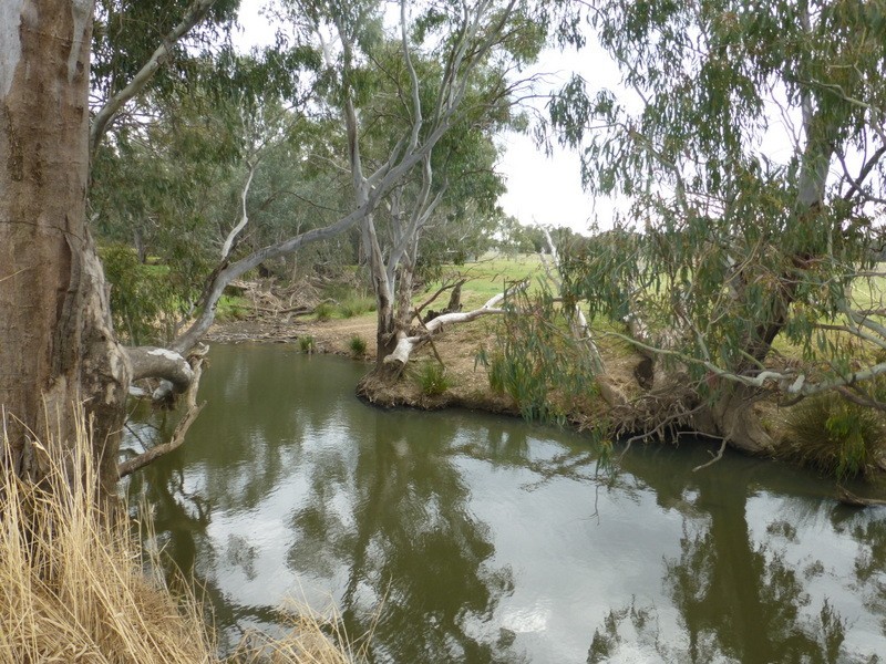 8834 Henry Parkes Way, Parkes NSW 2870