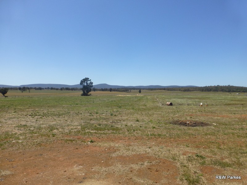 Lot 287 Newell Highway, Trewilga NSW 2869