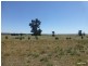 Lot 287 Newell Highway, Trewilga NSW 2869