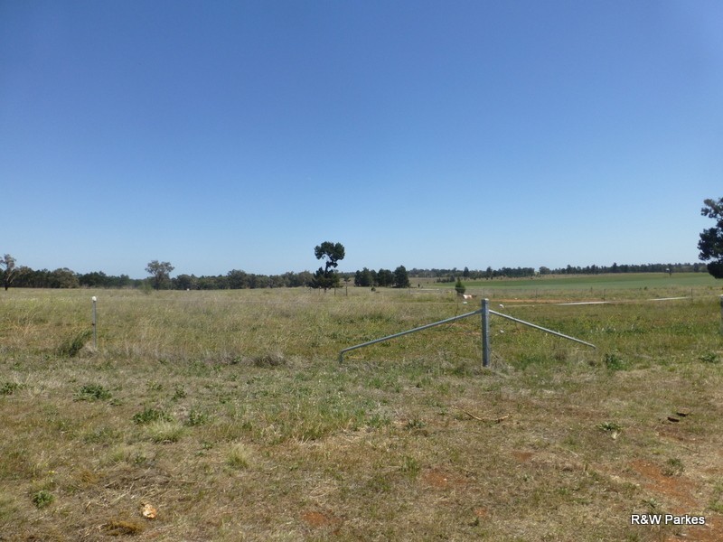 Lot 287 Newell Highway, Trewilga NSW 2869