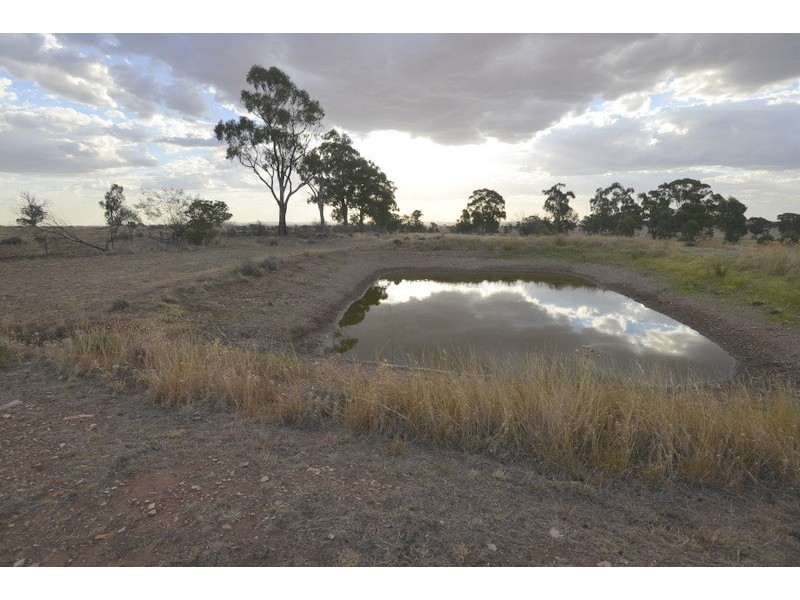 179 Deep Lead, Parkes NSW 2870