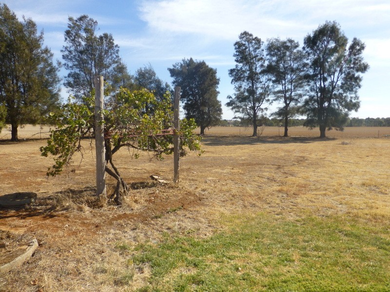 337 Telescope Road, Parkes NSW 2870