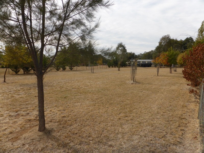 17 Wangara Lane, Parkes NSW 2870