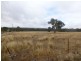 Lot 220 Nash, Parkes NSW 2870
