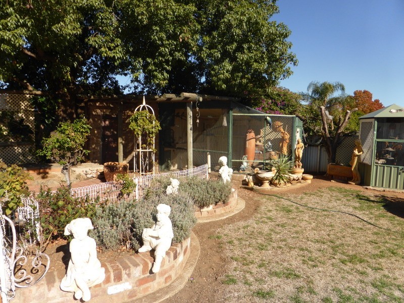 43 Bushman Street, Parkes NSW 2870