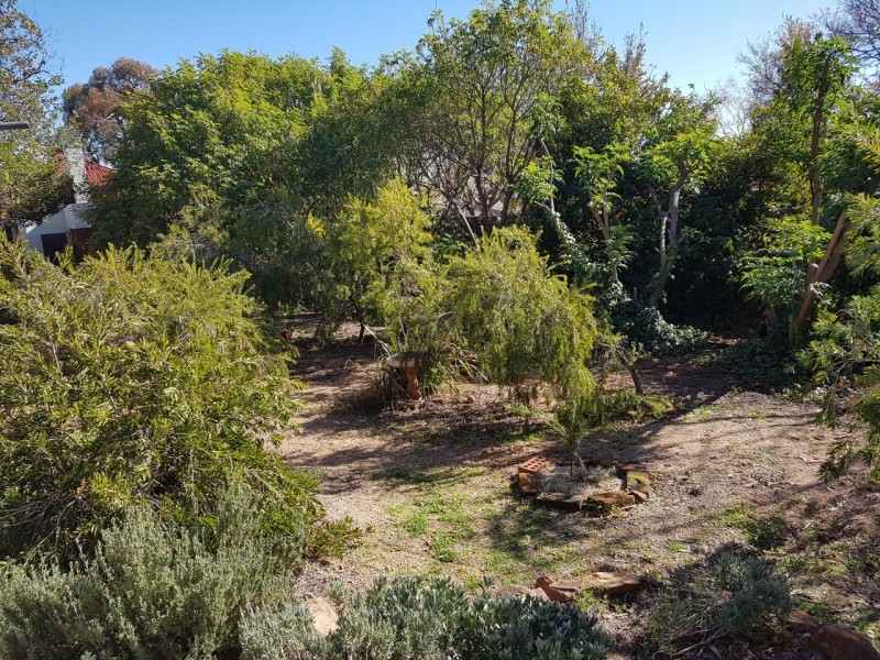 15 Hill Street, Parkes NSW 2870