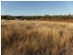 Lot 5 Medlyn Street, Parkes NSW 2870