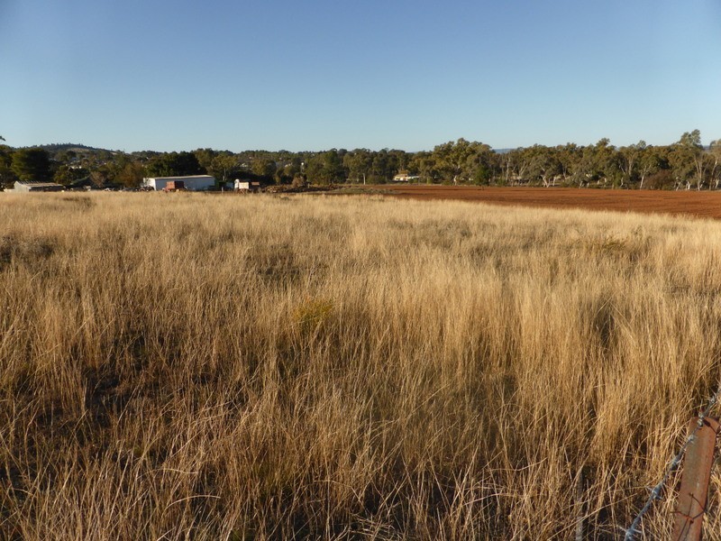 Lot 5 Medlyn Street, Parkes NSW 2870
