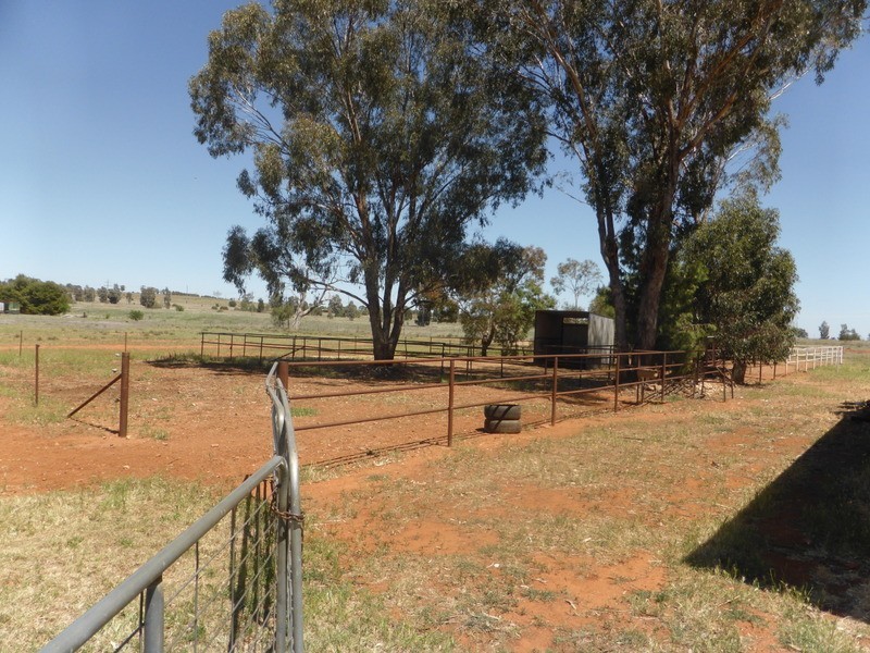 189-197 Condobolin Road, Parkes NSW 2870