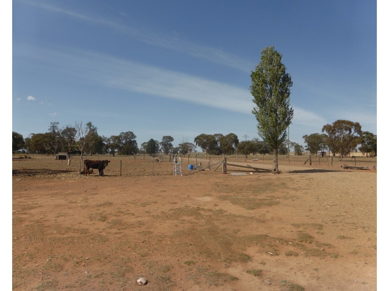 60 Trewilga Road, Peak Hill NSW 2869