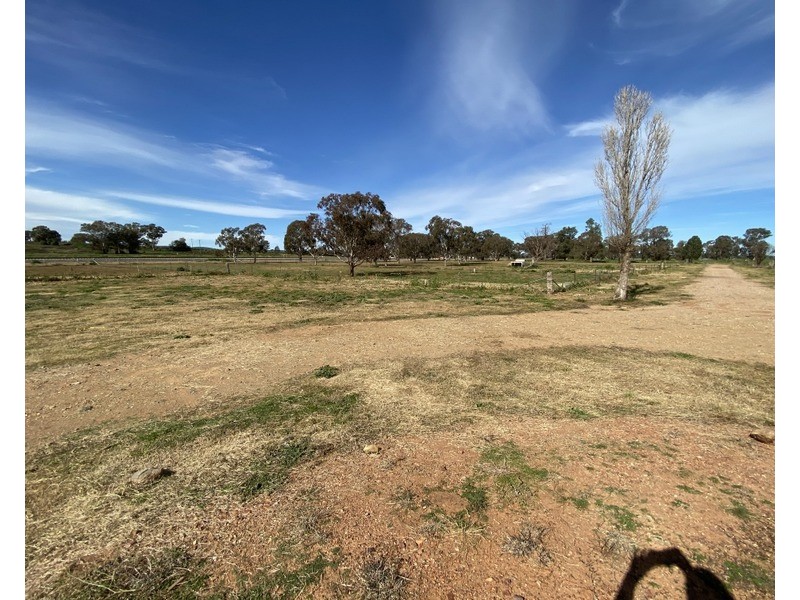 60 Trewilga Road, Peak Hill NSW 2869