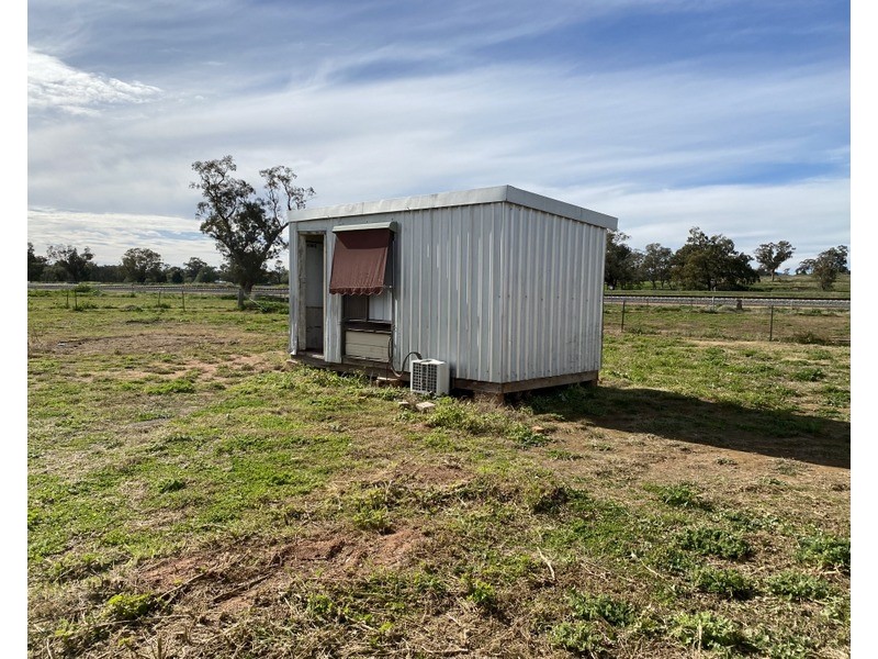 60 Trewilga Road, Peak Hill NSW 2869