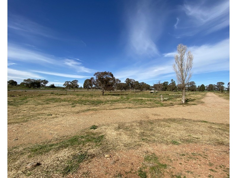60 Trewilga Road, Peak Hill NSW 2869
