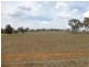 177 Cons Lane, Parkes NSW 2870