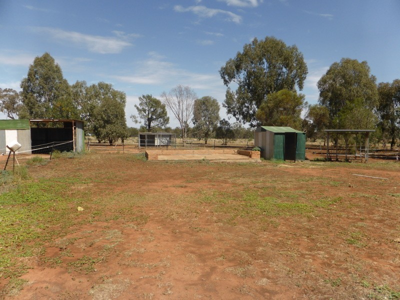 357 Condobolin Road, Parkes NSW 2870
