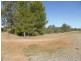 11 Tanks Road, Parkes NSW 2870