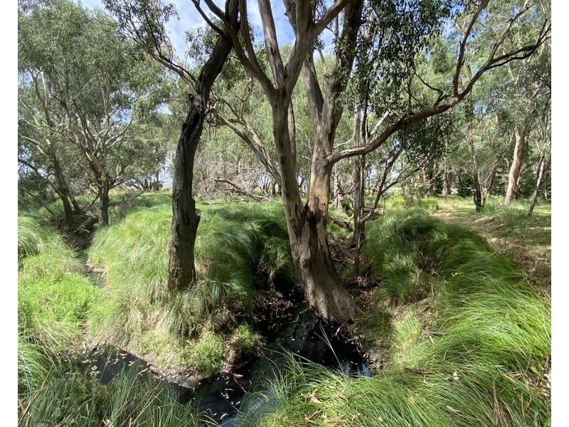 64 Terrill Road, Parkes NSW 2870