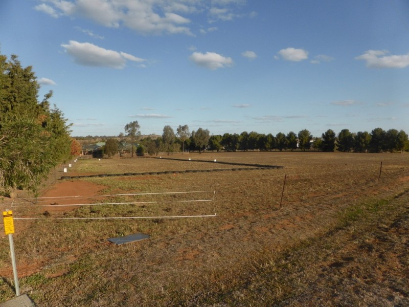 115 Heraghty Road, Parkes NSW 2870