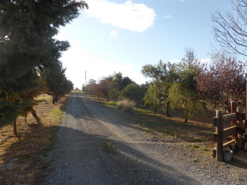 115 Heraghty Road, Parkes NSW 2870
