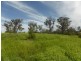 97 Shallow Lead Road, Parkes NSW 2870