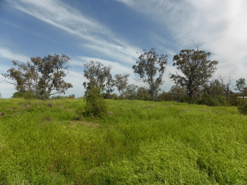 97 Shallow Lead Road, Parkes NSW 2870