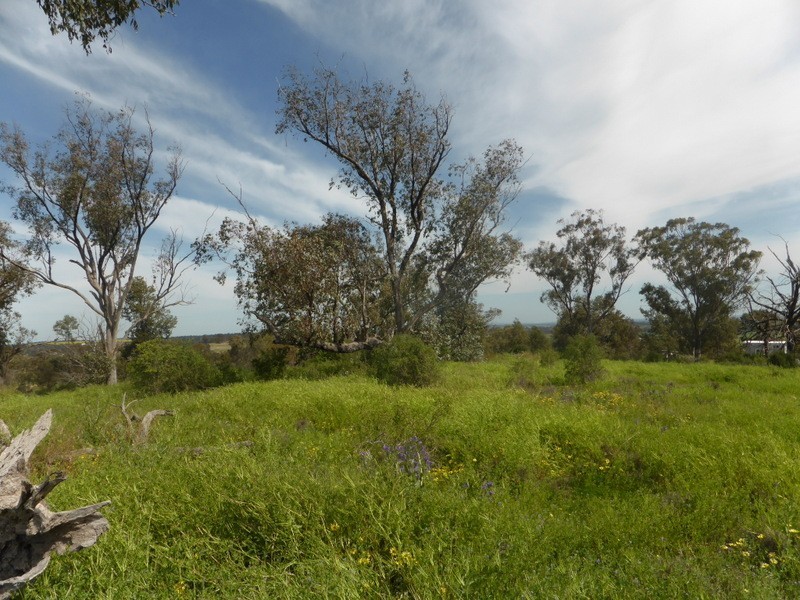 97 Shallow Lead Road, Parkes NSW 2870