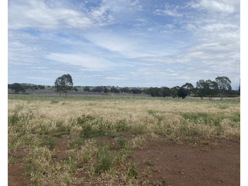 49 The Welcome Road, Parkes NSW 2870