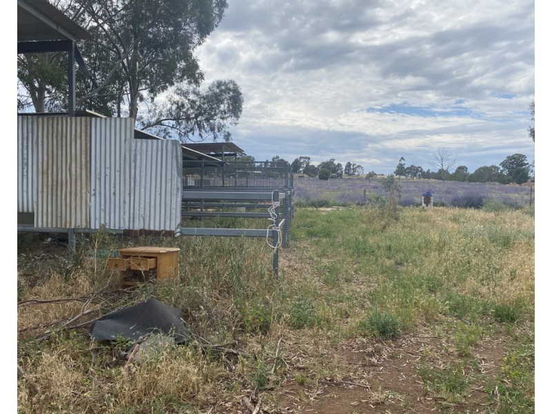 49 The Welcome Road, Parkes NSW 2870