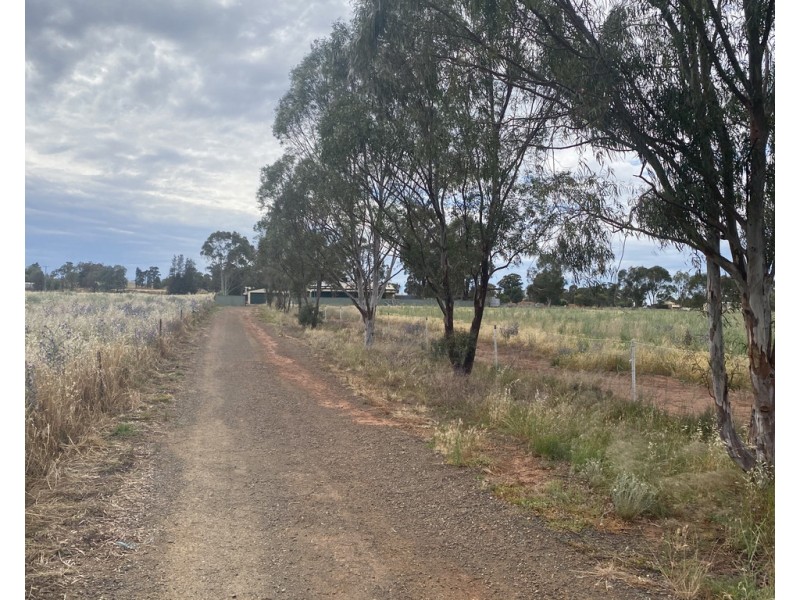 49 The Welcome Road, Parkes NSW 2870